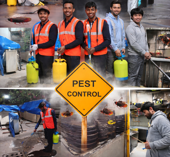 Pest Mantra About Us