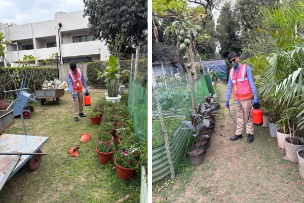 Pest Mantra Gallery Image