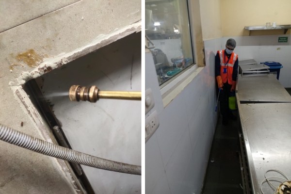 Pest Mantra Gallery Image