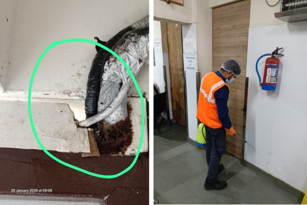 Pest Mantra Gallery Image