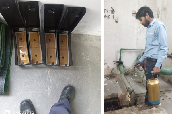 Pest Mantra Gallery Image