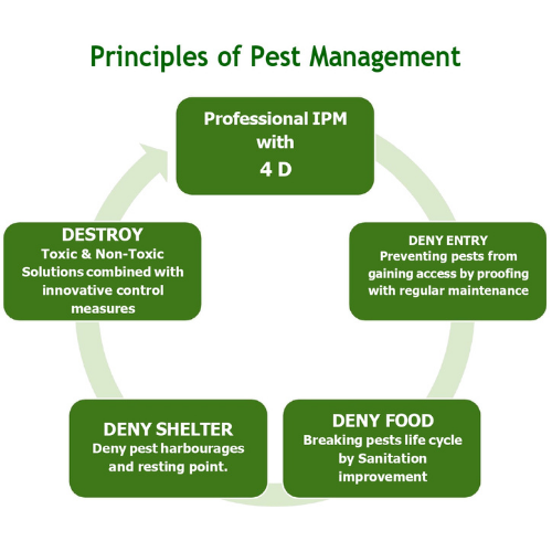 Pest Mantra Why Choose Us