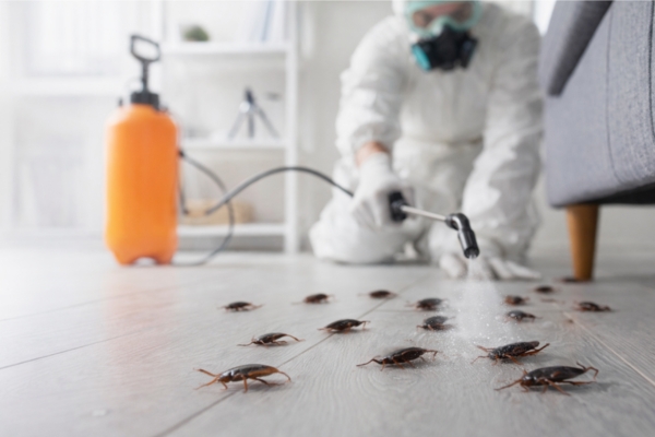 Pest Mantra Gallery Image